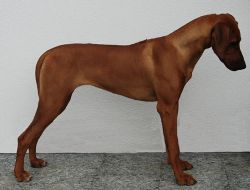 20110706_Macuma 9 Monate